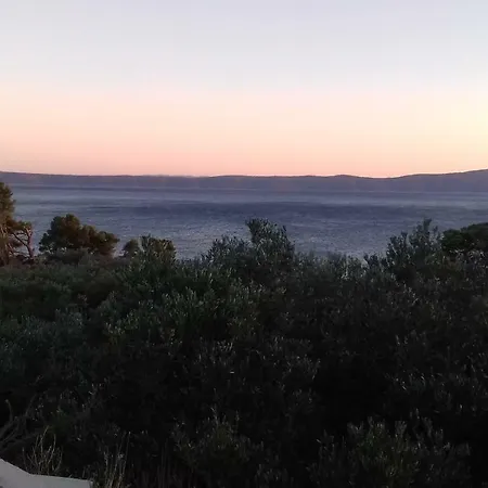 With Magic View بودغورا