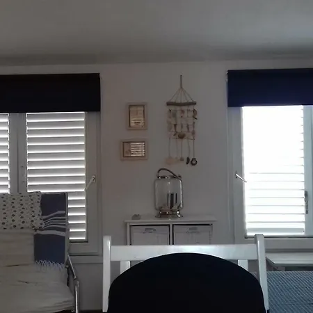 With Magic View * 伯德古拉