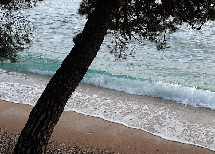 With Magic View * Podgora (Split-Dalmatia)